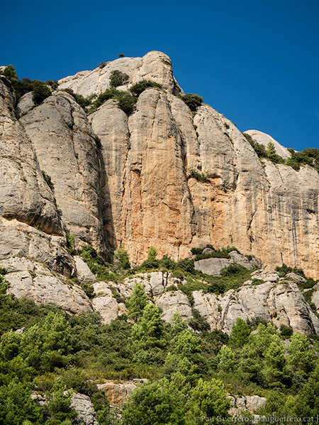 Paisatge de les cingleres a la Serra Major de Montsant, Priorat.