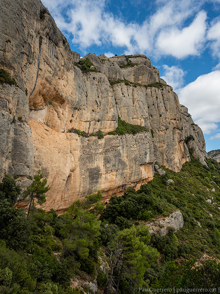 Cingles sobre la bauma anomenada la Cova Roja a la Serra Major de Montsant.