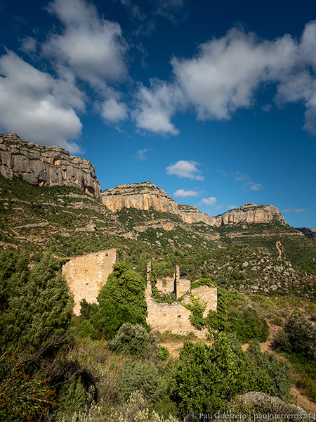 Ruïnes del Mas de Sant Antoni amb les cingleres de la Serra Major de Montsant de fons. Paisatge del Priorat.