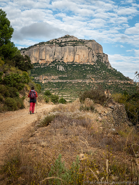 Senderisme al Camí dels Cartoixans, a l'alçada del Mas de Sant Antoni, vistes dels cingles del Racó de Missa de fons, i vestigis d'un mur de pedra seca. Paisatge del Montsant, Priorat.