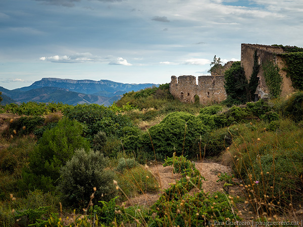 Ruïnes del Mas de Sant Antoni a la falda del Montsant, Priorat. Vistes de la serra de Montalt i serra de Llaberies al fons.