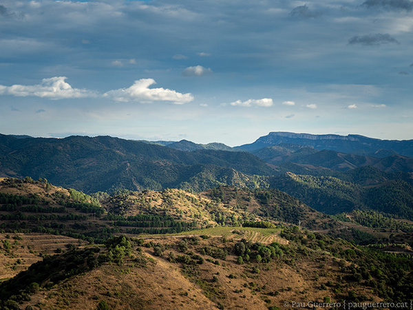 Panoràmica des del Camí dels Cartoixans, al peu dels cingles de Montsant. Al fons la serra de Montalt i serra de Llaberies.