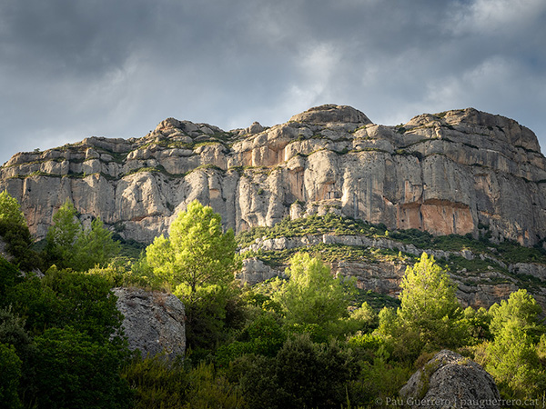 Cingleres de la serra Major de Montsant, aprop d'Escaladei, Priorat