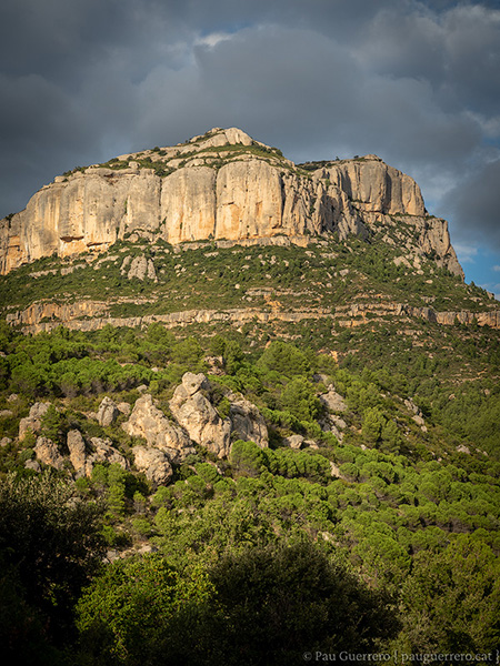 Cingles del Racó de Missa a la Serra Major de Montsant, baixant del Mas de Sant Antoni a la Cartoixa d'Escaladei. Priorat.