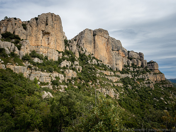 Vista dels cingles seguint el GR-171 que puja per el Grau de l'Agnet. La Morera de Montsant, Priorat.