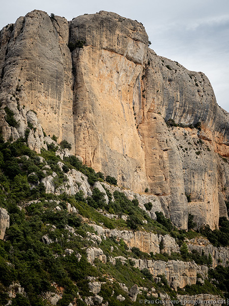 Les cingleres sobre el poble de la Morera de Montsant, Priorat.