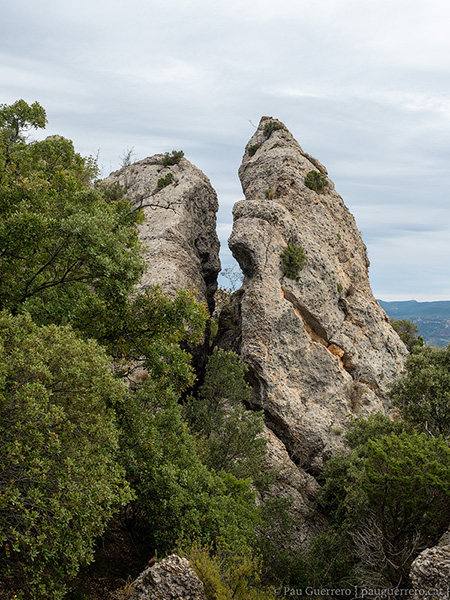 Detall de la roca pujant per el GR-171 a la Morera de Montsant, Priorat.