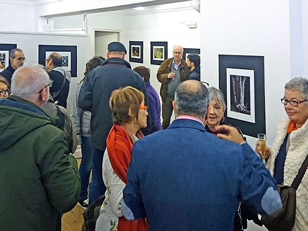 fotografia de l'inauguració de l'exposició Paisatges i racons de l'Albera a Populart