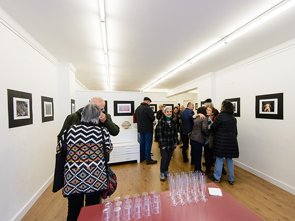 fotografia de l'inauguració de l'exposició Paisatges i racons de l'Albera a Populart