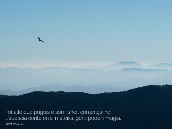 gràcies