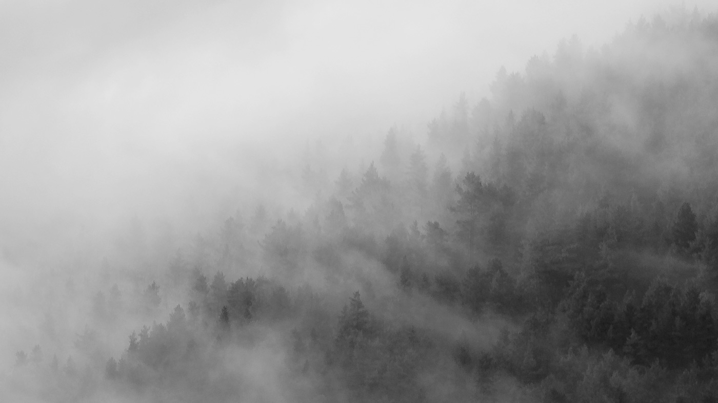 fotografia de la sèrie Paisatge Evanescent, fotografies de paisatge envoltat de boira i núvols. Autor de la fotografia: Pau Guerrero