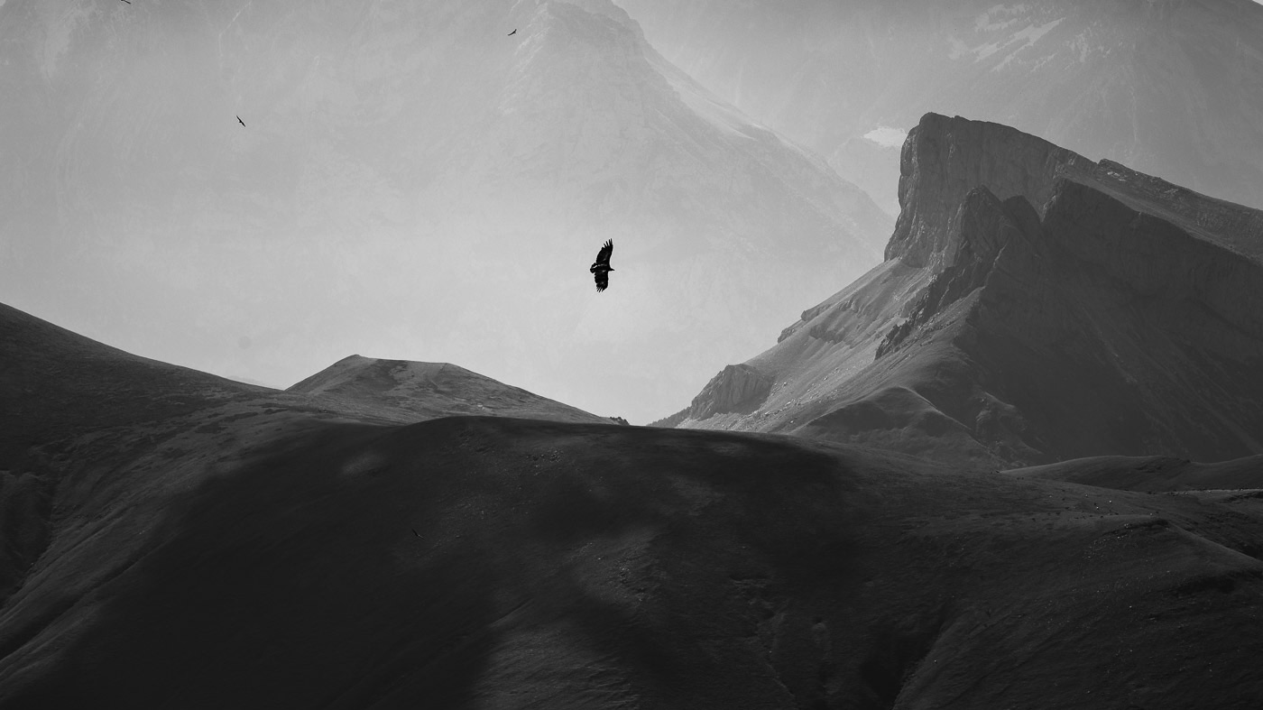 fotografia de paisatge de la sèrie Muntanyes caminant, els voltors sobre Ordesa i Añisclo. Autor de la fotografia de Pau Guerrero
