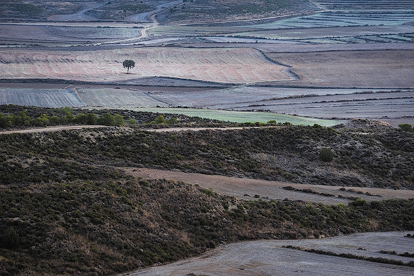 fotografia de paisatge dels Monegros, de la sèrie *Monegros*