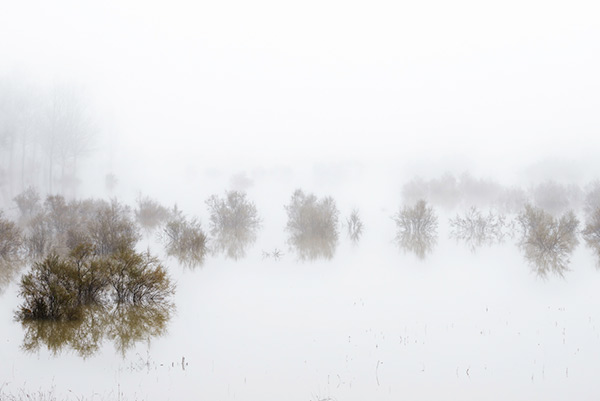 fotografia de paisatge dels Monegros, de la sèrie *Monegros*