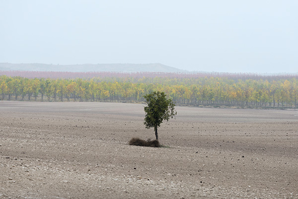 fotografia de paisatge dels Monegros, de la sèrie *Monegros*